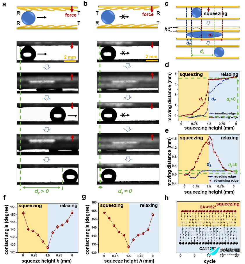 1666504597162606.png 北航田東亮教授團隊 ACS Nano:超穩定超疏水表面用于表面減壓及液體導流2.png