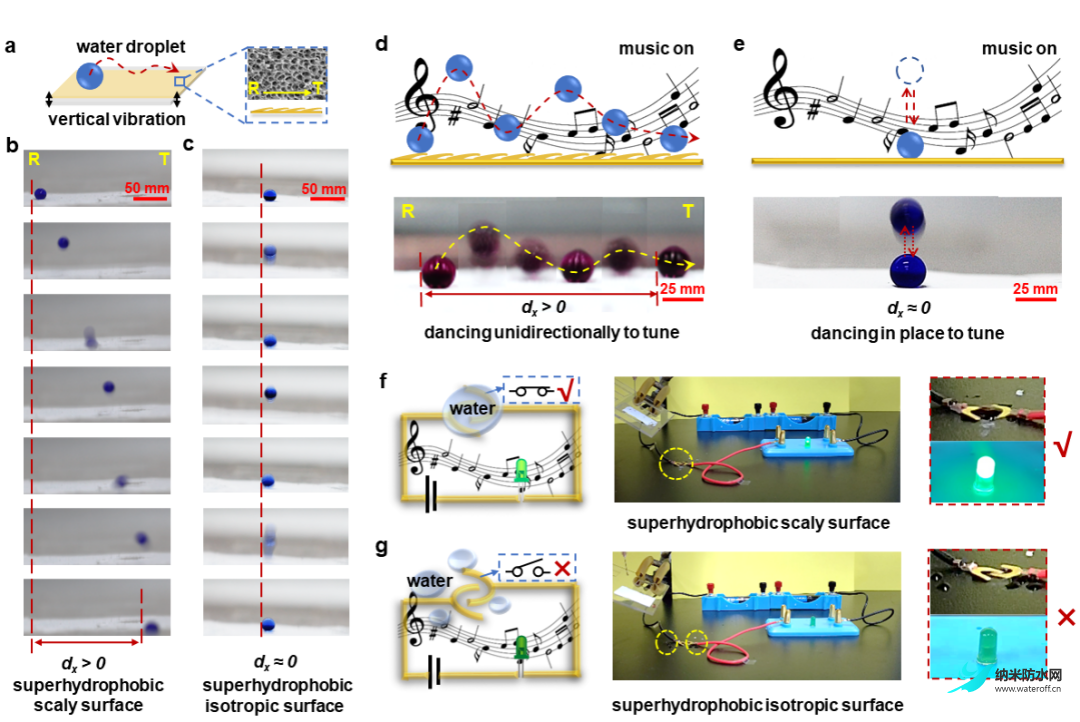 北航田東亮教授團隊 ACS Nano：超穩定超疏水表面用于表面減壓及液體導流4.png