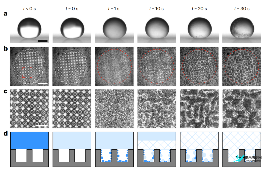 Nature Physics-超疏水表面結 冰融冰4.png