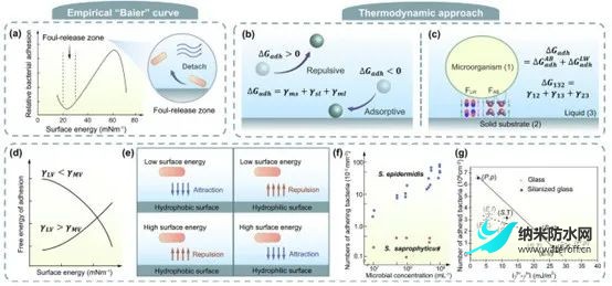 超疏水表面與抗微生物感染之間的關系5.jpg