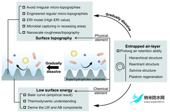 超疏水表面與抗微生物感染之間的關系6.jpg