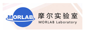 摩爾實驗室